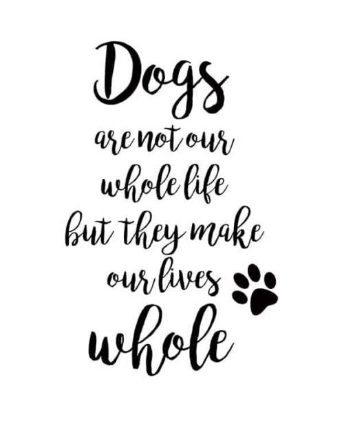 Word Art - Dogs <span>[More colors available]</span>