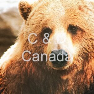 Wildlife Stock Art 2