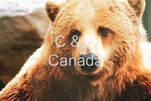 Wildlife Stock Art 2