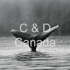 Wildlife Stock Art 38
