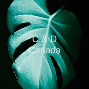 Flower Stock Art 17
