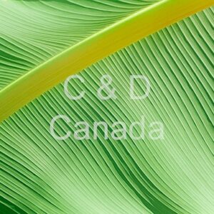 Flower Stock Art 7