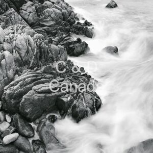 Landscape Stock Art 17