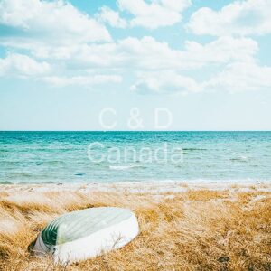 Landscape Stock Art 26
