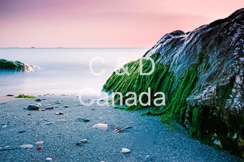 Landscape Stock Art 31