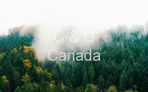 Landscape Stock Art 38
