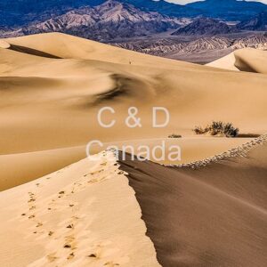 Landscape Stock Art 39