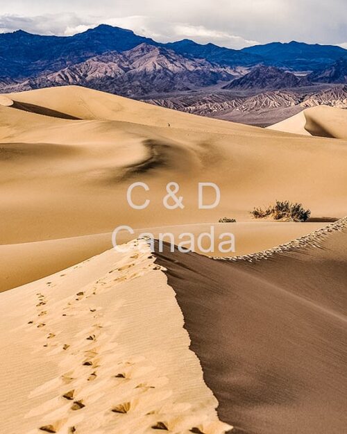 Landscape Stock Art 39