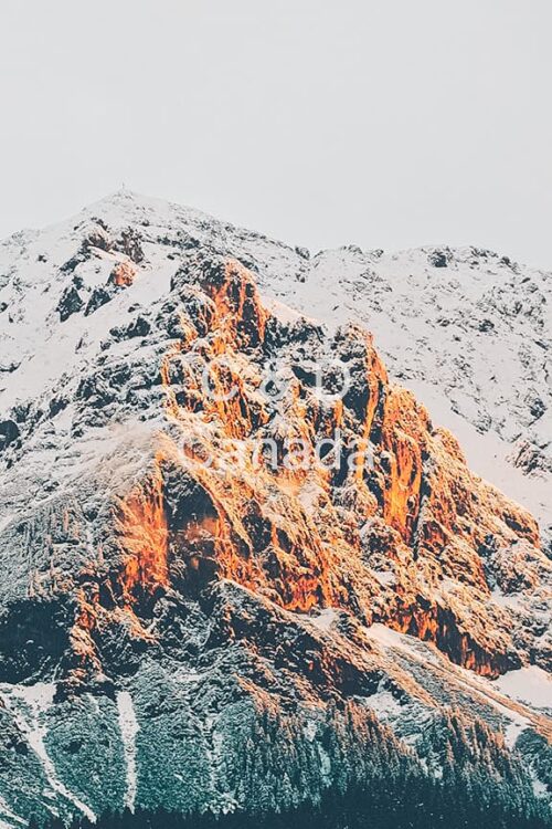 Landscape Stock Art 41