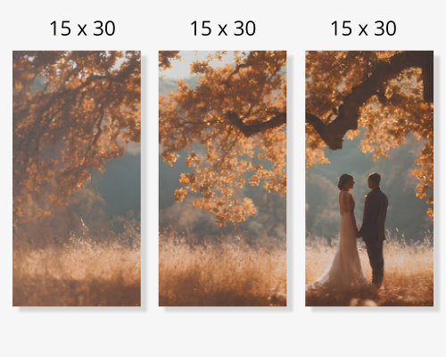 Split stretched canvas display with 3 panels 15x30 inches