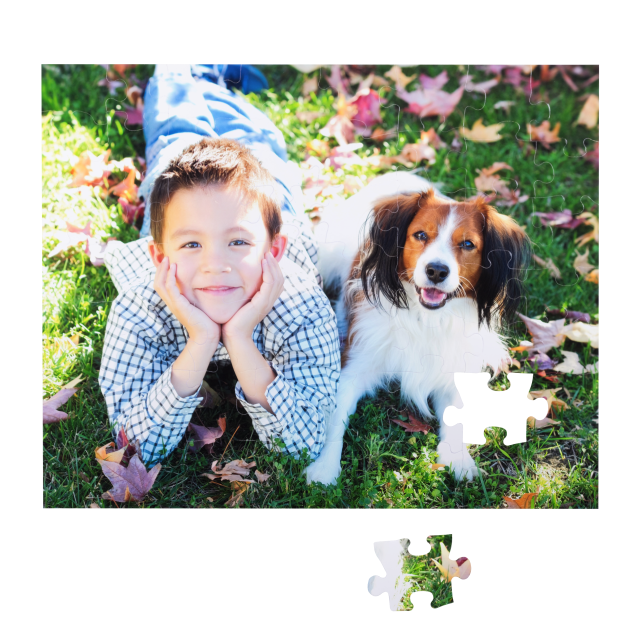 photo puzzle of boy and dog