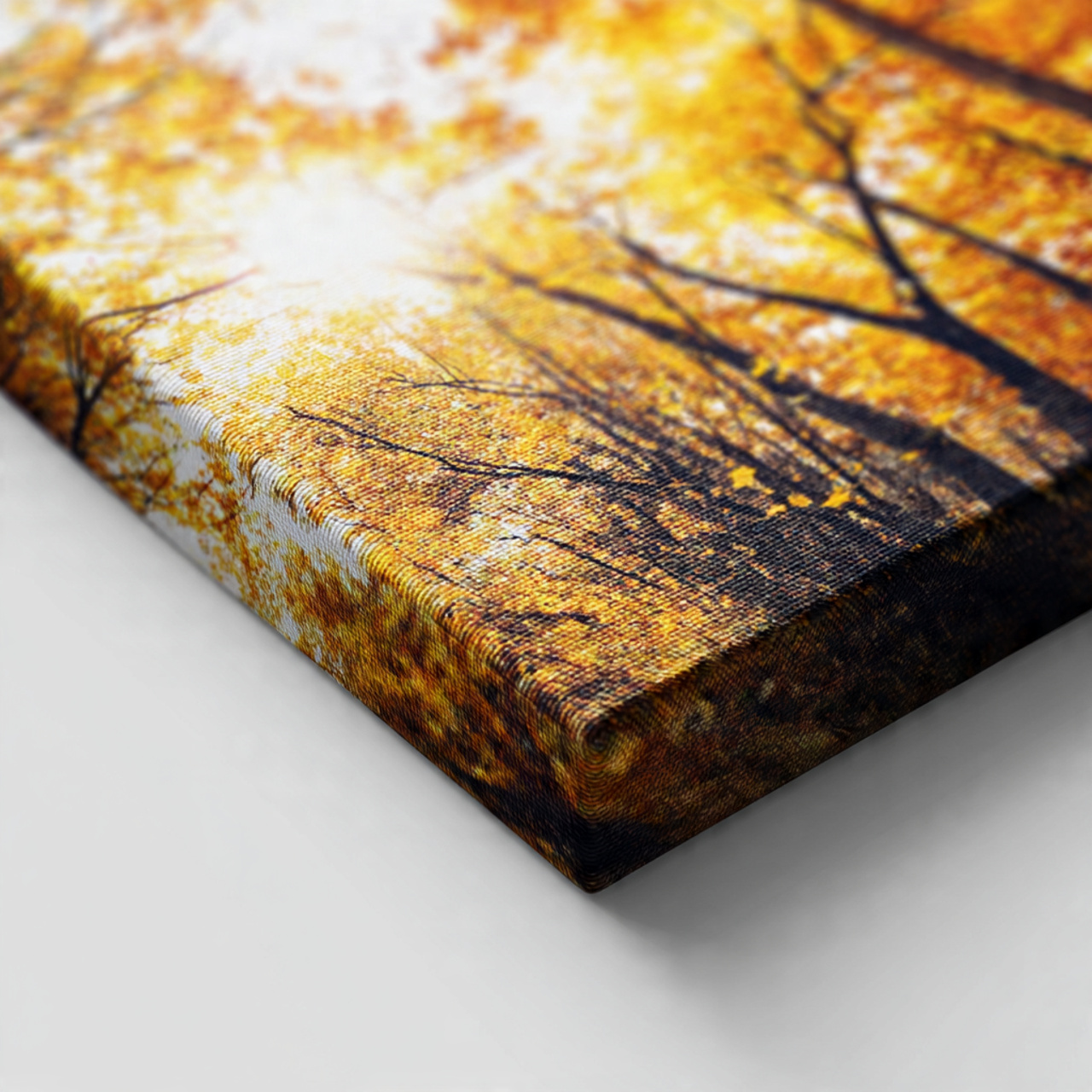 Fall nature stretched canvas corner profile view