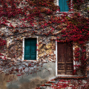 architectural stock wall art 24