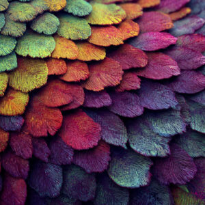 creative collections stock wall art 15