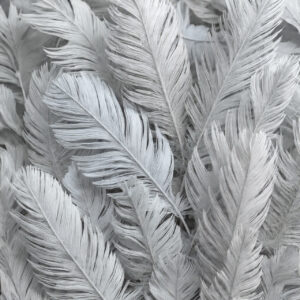 creative collections stock wall art 23