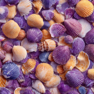 creative collections stock wall art 26