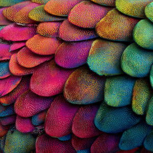 creative collections stock wall art 28