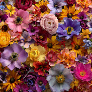 creative collections stock wall art 31