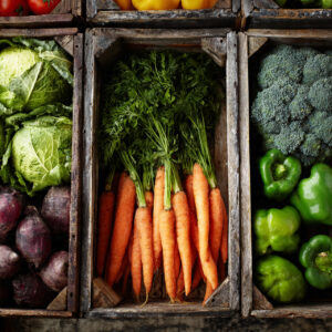 farm and countryside stock wall art 15