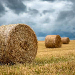 farm and countryside stock wall art 19
