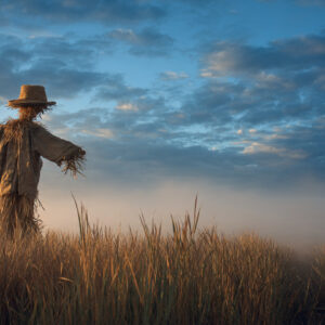 farm and countryside stock wall art 24