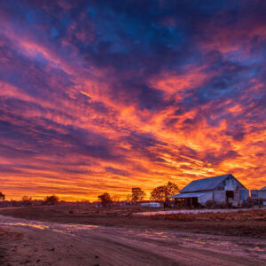 farm and countryside stock wall art 41