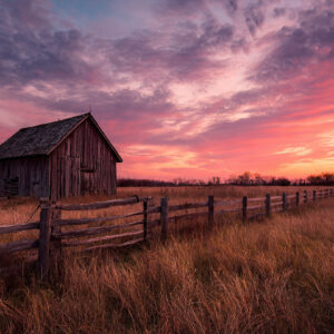farm and countryside stock wall art 54