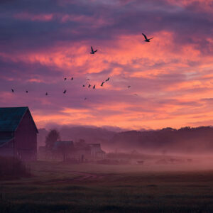 farm and countryside stock wall art 61