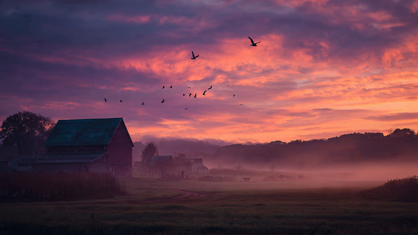 farm and countryside stock wall art 61