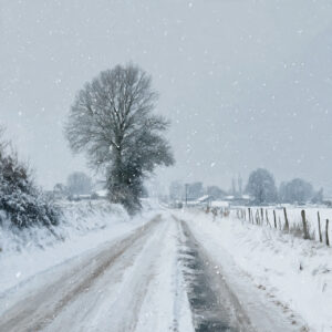 farm and countryside stock wall art 9