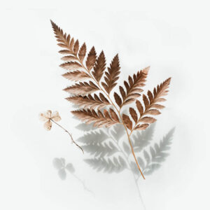 Flower stock wall art 24