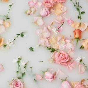 flower stock wall art 62