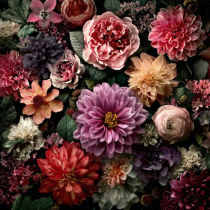 flower stock wall art 73