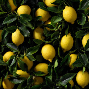 food and drink stock wall art 24