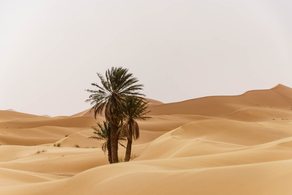 landscape stock wall art 106