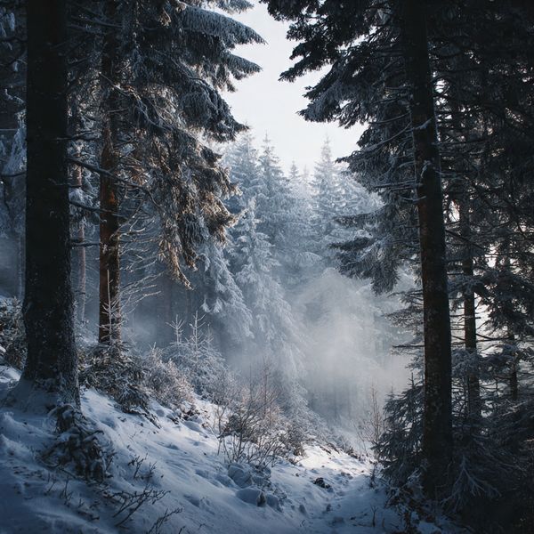 landscape stock wall art 135