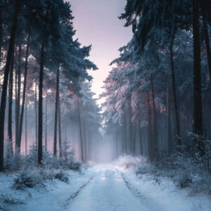 landscape stock wall art 140