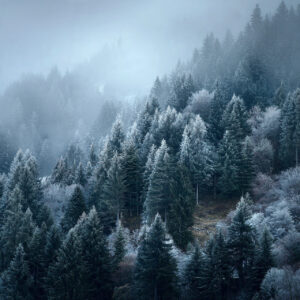 landscape stock wall art 148