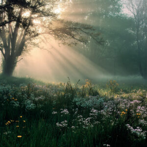 landscape stock wall art 157