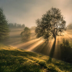 landscape stock wall art 160