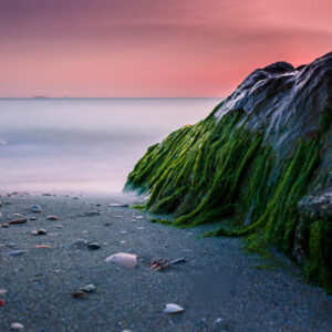 landscape stock wall art 31