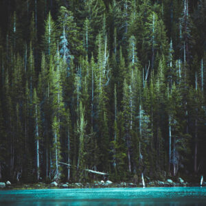 landscape stock wall art 36