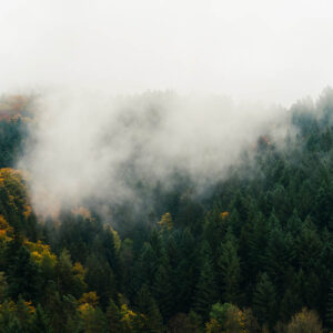 landscape stock wall art 38