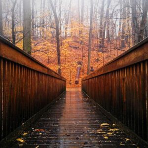 landscape stock wall art 58