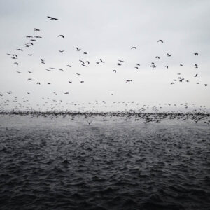 landscape stock wall art 61