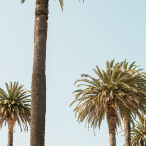 landscape stock wall art 70