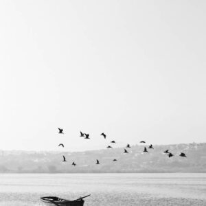 landscape stock wall art 73