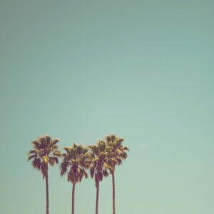 landscape stock wall art 74