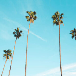 landscape stock wall art 78