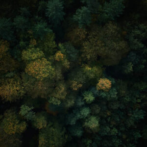 landscape stock wall art 80